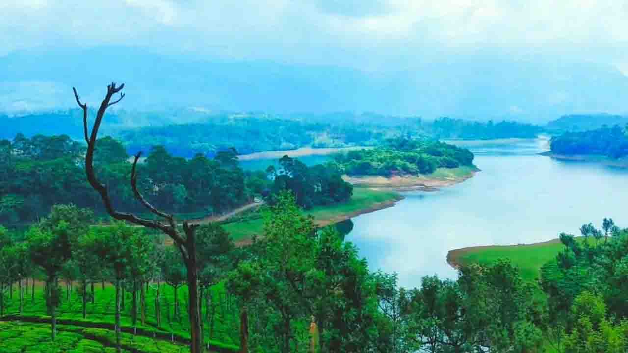 Munnar: चाय की घाटियों में बसा हिल स्टेशन, जहाँ हरियाली सांस लेती है तो बादल पहाड़ियों से गले मिलते हैं...!
