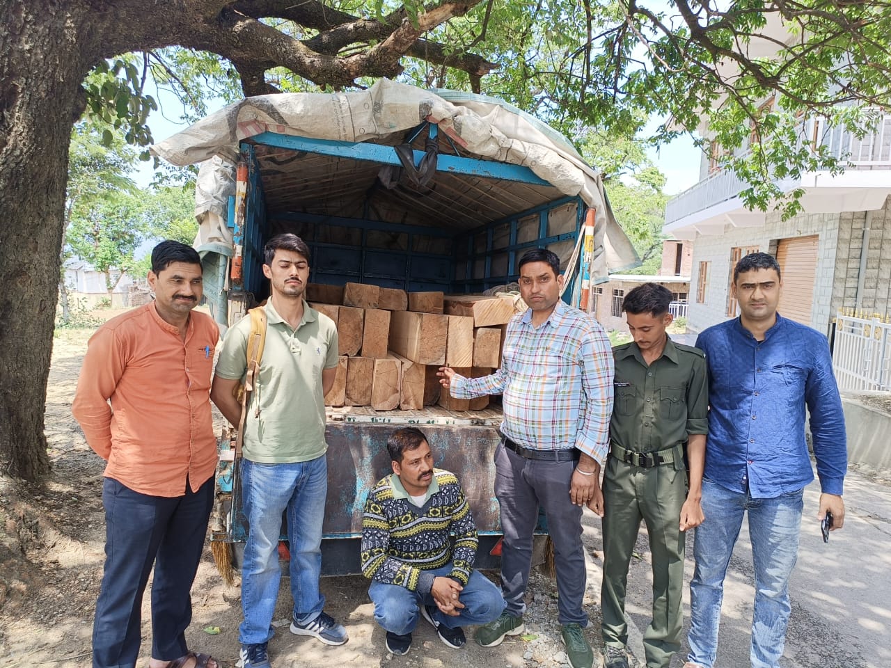 Forest department seized illegal wood in Jai Devi range