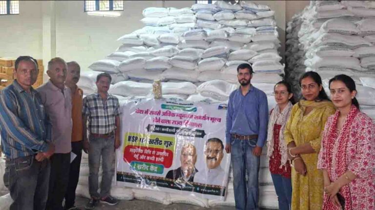 Chamba News: चंबा में प्राकृतिक विधि से उगाई गई गेहूं की खरीद शुरू