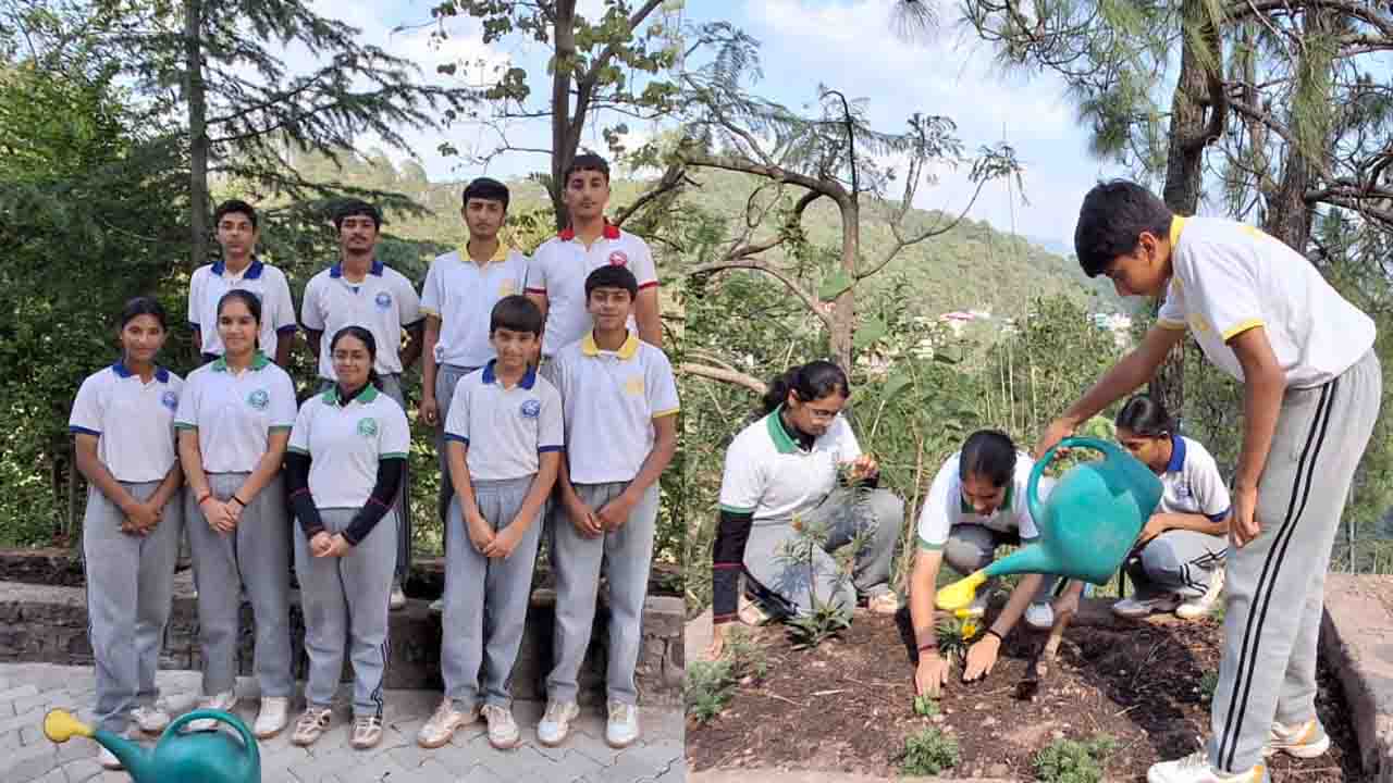 Kasauli International Public School सनवारा में विश्व पर्यावरण दिवस उत्साहपूर्वक मनाया गया