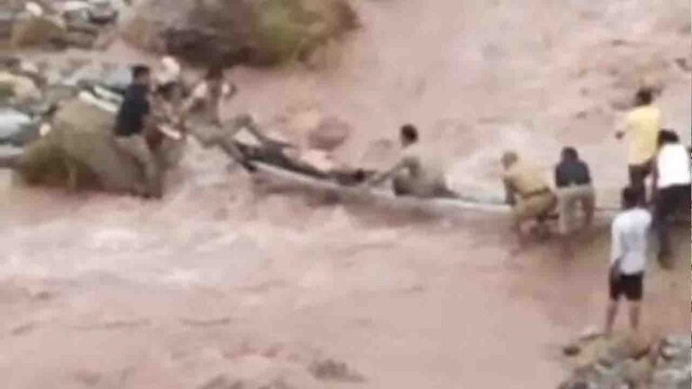 Mandi News: जडोल खड्ड में तेज बहाव में बहने से 20 वर्षीय युवक की मौत, रतोग पुल के पास मिला शव