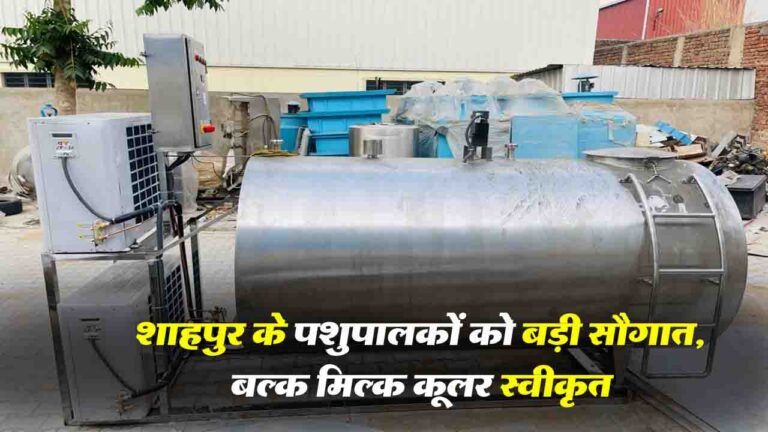 Bulk Milk Cooler: शाहपुर के पशुपालकों को बड़ी सौगात, रिड़कमार में 2000 लीटर क्षमता का बल्क मिल्क कूलर स्वीकृत