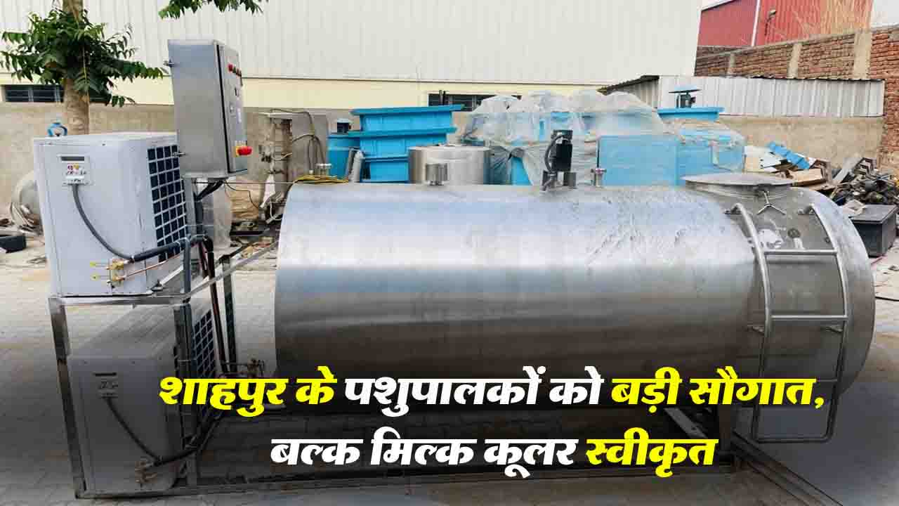 Bulk Milk Cooler: शाहपुर के पशुपालकों को बड़ी सौगात, रिड़कमार में 2000 लीटर क्षमता का बल्क मिल्क कूलर स्वीकृत