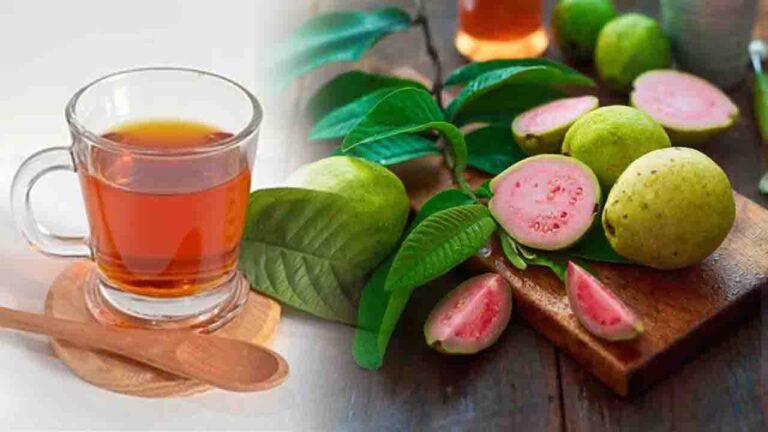 Guava Leaf Tea Benefits: अमरूद की पत्तियों की चाय, आँखों की रोशनी बढ़ाए, त्वचा को बनाए चमकदार!