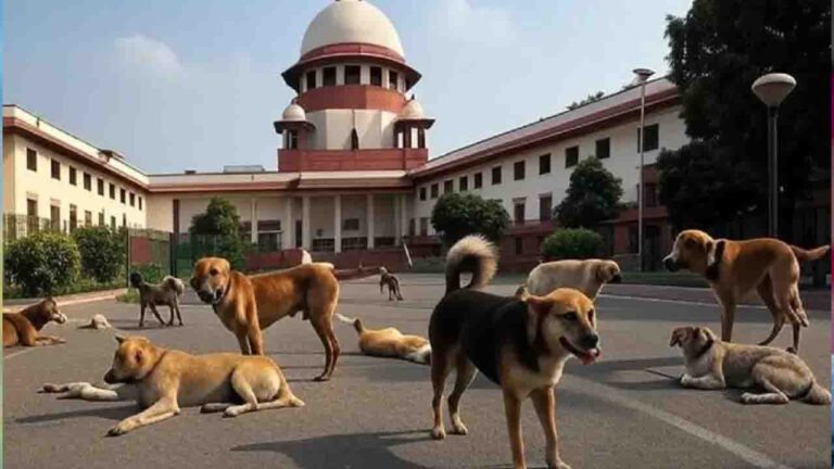 Supreme Court का निर्देश- आवारा कुत्तों की भलाई के लिए 2 लाख रुपये जमा करें NGO, वर्ना...'