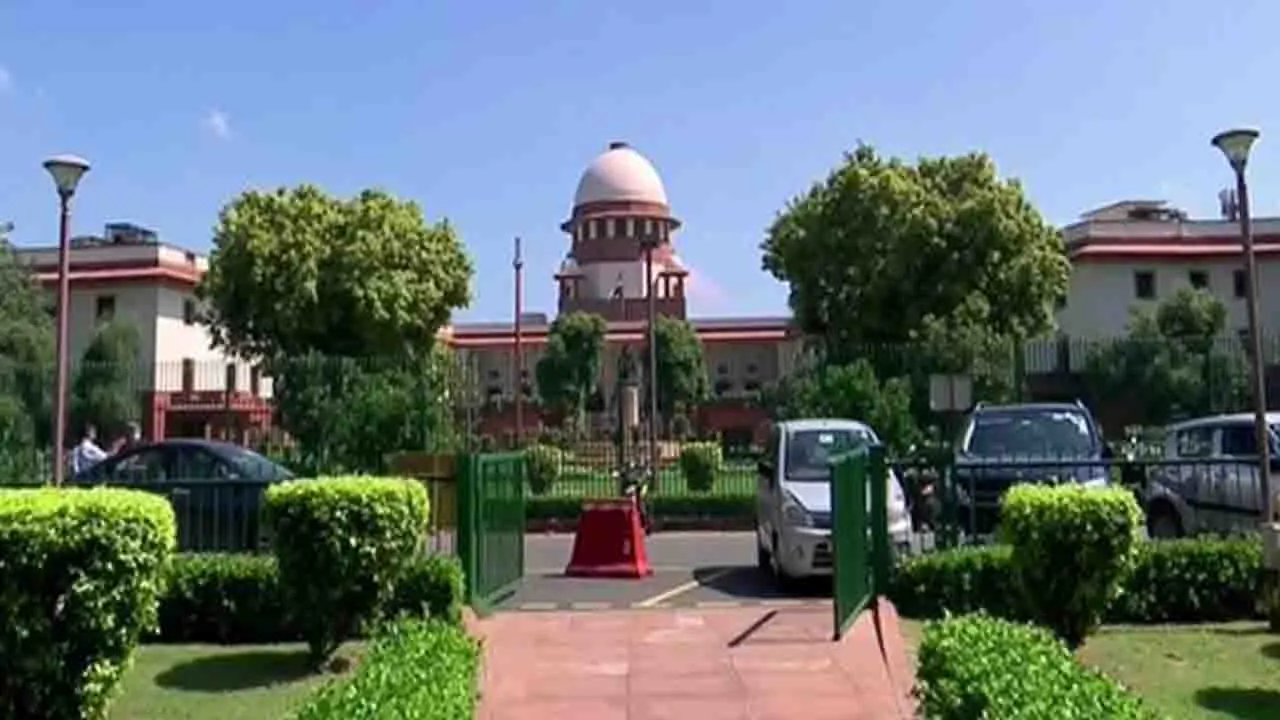 Supreme Court on Street Dog Case: सुप्रीमकोर्ट बोला- आवारा कुत्तों को रिहायशी इलाकों से हटाना ही होगा, मारने का नहीं दिया आदेश ..!