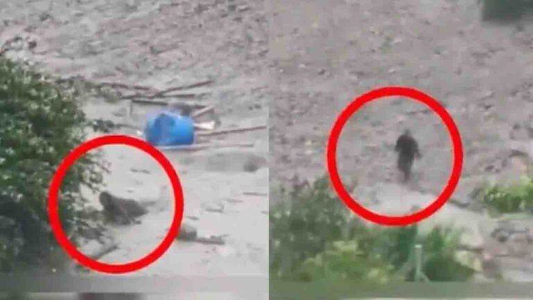 Dharali Cloudburst: धराली में आए सैलाब के बीच दिखा चमत्कार, मलबे से जिंदा निकला शख्स, देखें
