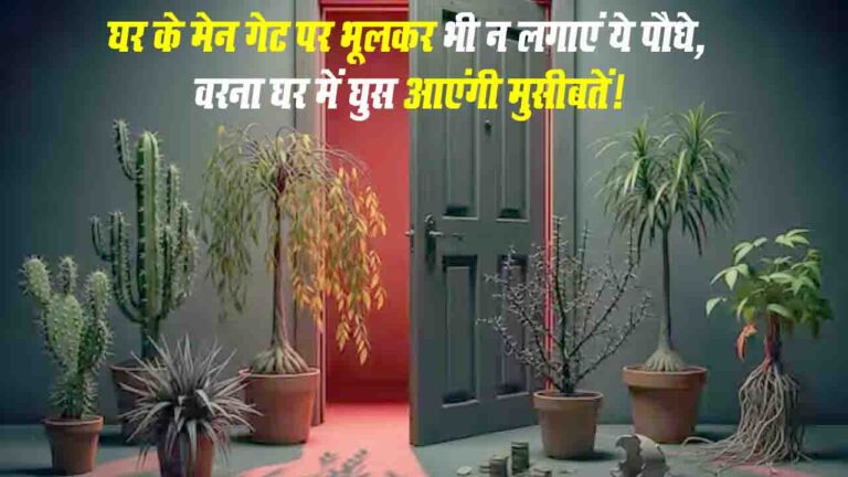 Vastu Tips For Home: अपने घर के मेन गेट पर इन पौधों को भूलकर भी न लगाएं, वरना घर में घुस आएंगी मुसीबतें!