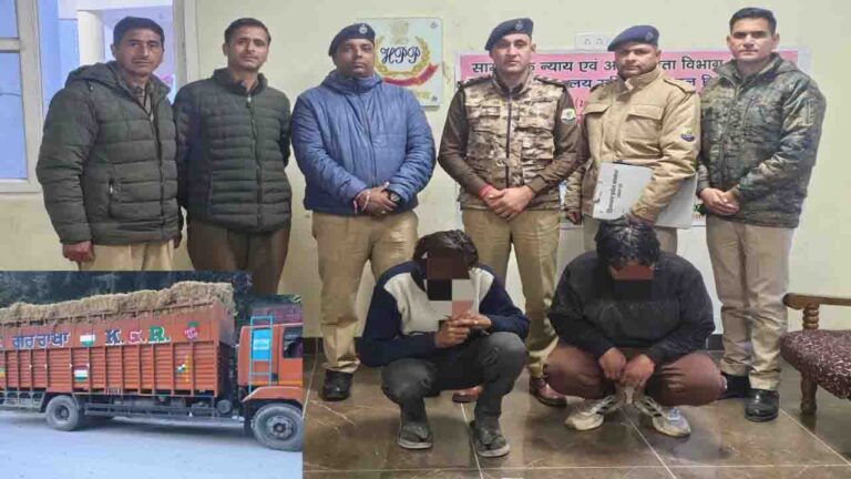 Manali Cow Smuggling: पराली के नीचे छिपाकर ले जा रहे थे 11 गौवंश, हरियाणा नंबर ट्रक सहित 2 गिरफ्तार