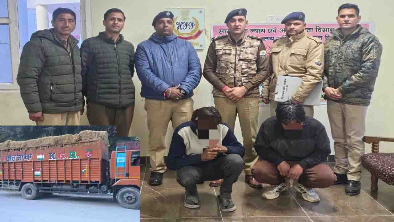 Manali Cow Smuggling: पराली के नीचे छिपाकर ले जा रहे थे 11 गौवंश, हरियाणा नंबर ट्रक सहित 2 गिरफ्तार
