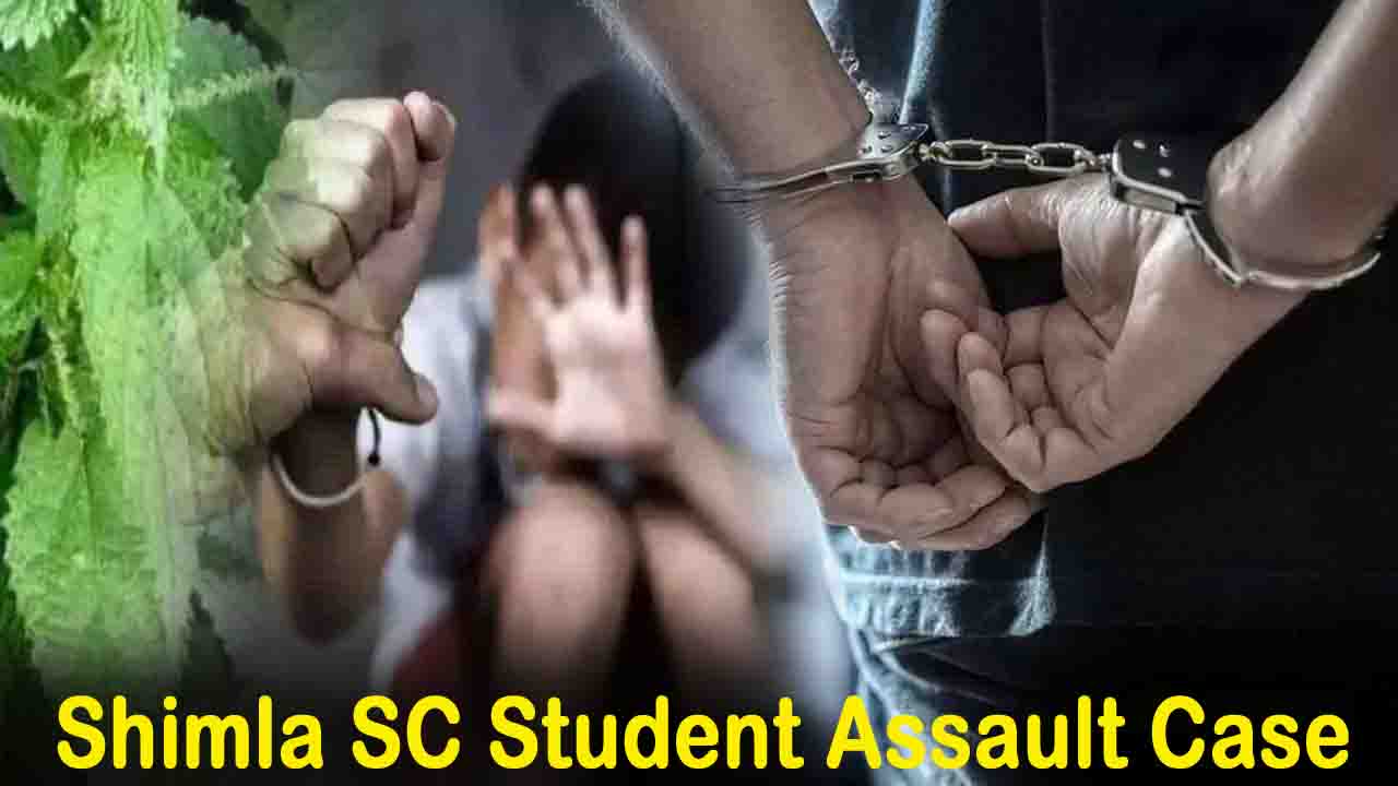 Shimla SC Student Assault Case: रोहडू स्कूल में मासूम की बर्बर पिटाई मामले में अवैतनिक शिक्षक नितिश ठाकुर गिरफ्तार