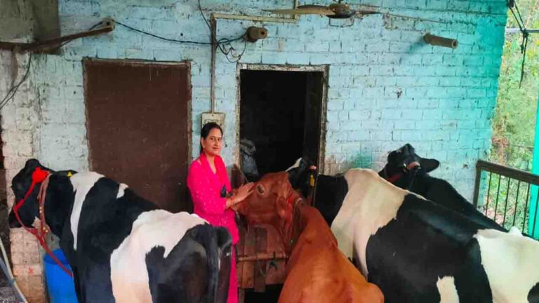 Success Story: टीजीटी साइंस से डेयरी उद्यमी तक का सफर, सोनिका का ‘स्मार्ट वर्क’ बना प्रेरणा स्रोत