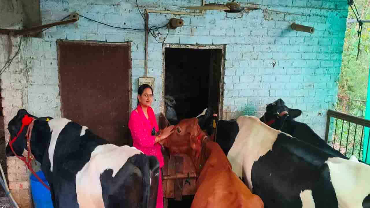 Success Story: टीजीटी साइंस से डेयरी उद्यमी तक का सफर, सोनिका का ‘स्मार्ट वर्क’ बना प्रेरणा स्रोत