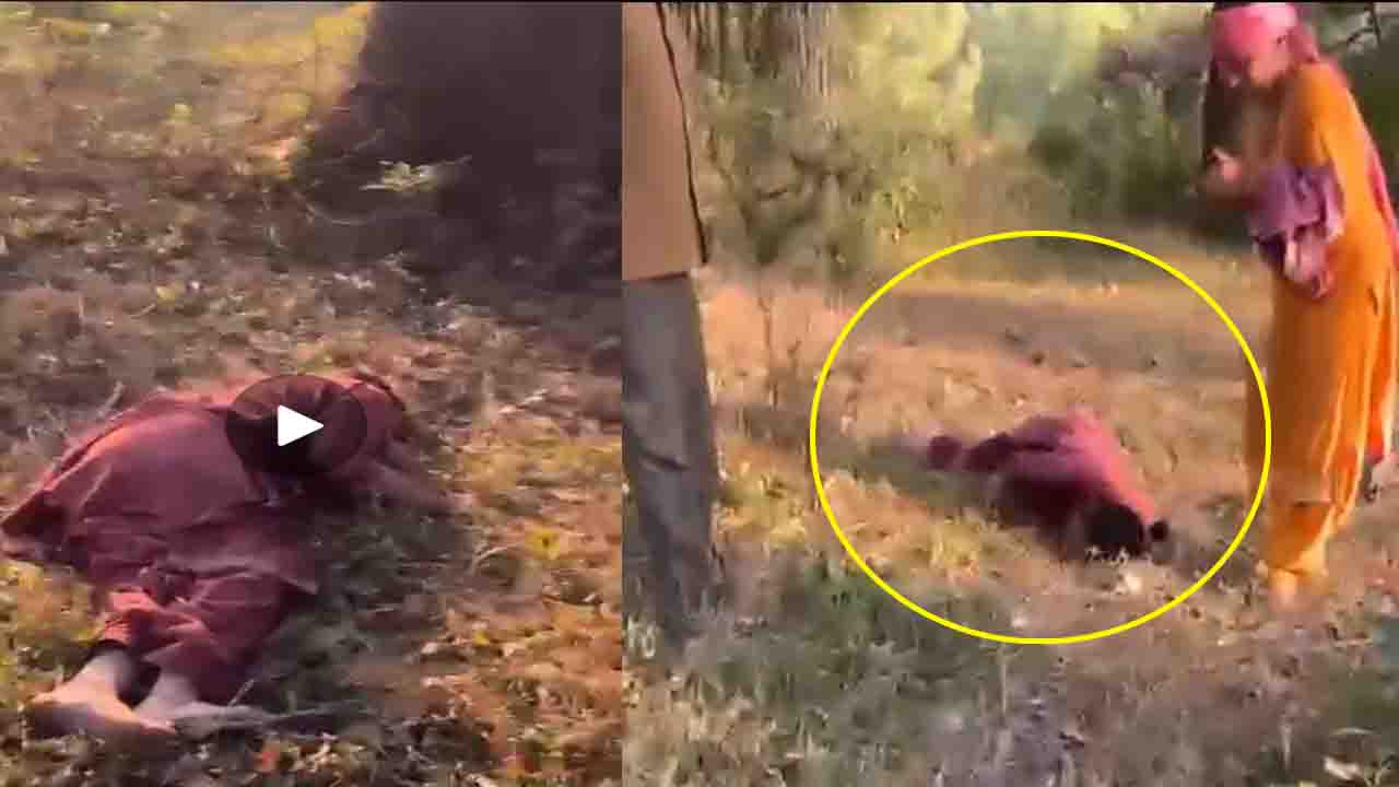 Hamirpur News: हमीरपुर में नाबालिग की हैवानियत, घास काट रही महिला पर दुष्कर्म का प्रयास -विरोध करने पर दरांती-डंडे से हमला..!