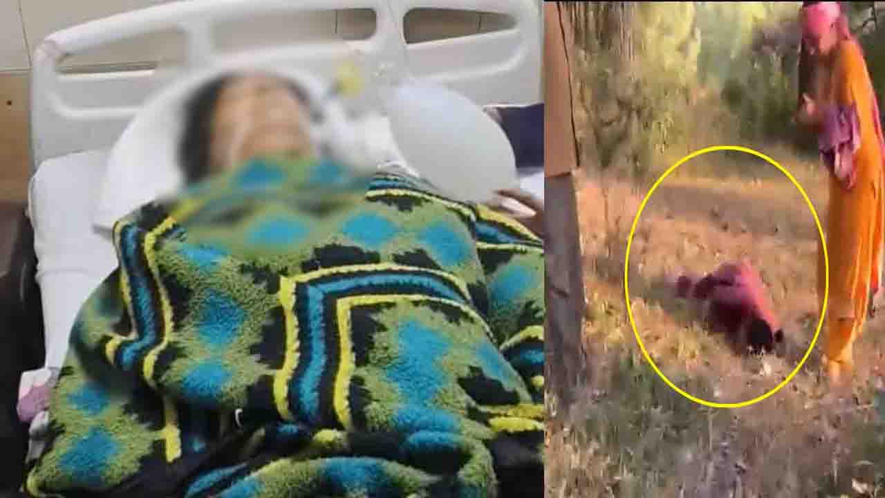 Hamirpur News: हमीरपुर में नाबालिग के हमले से घायल 40 वर्षीय रंजना ने PGI में तोड़ा दम