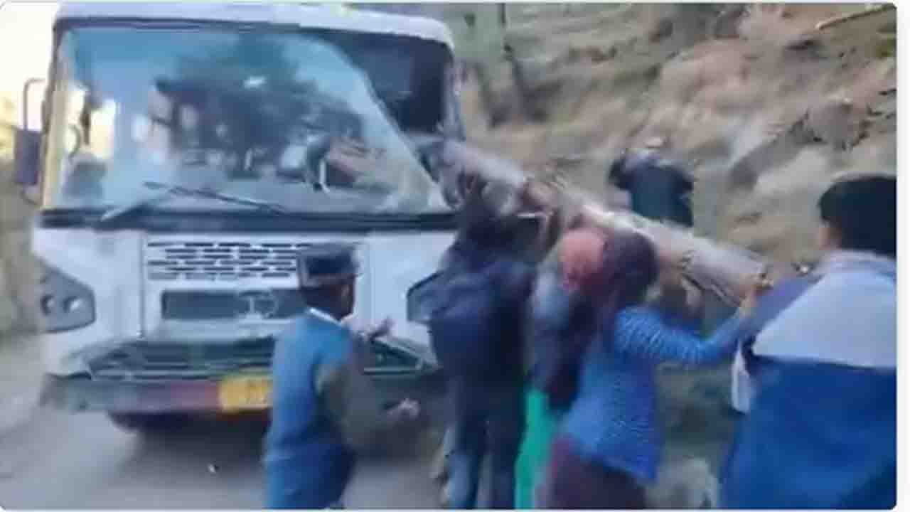 Mandi News: सराची-मंडी रोड पर HRTC बस पर अचानक गिरा विशाल कैल का पेड़, आगे का शीशा चूर-चूर