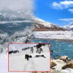 Baba Garib Nath Temple Una: जानिए देव भूमि हिमाचल का वो अद्भुत शिव मंदिर, साल के 4 महीने झील में समा जाता है.. 3 Chandrakhani Pass Trek: हिमाचल की गोद में छिपा स्वर्ग, जहाँ हर कदम पर हिमालय मुस्कुराता है..