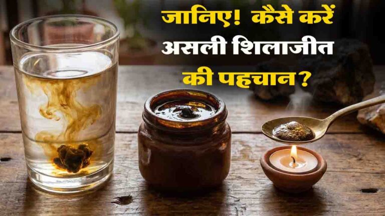Real Shilajit Identification: शिलाजीत का सेवन करने की सोच रहे हैं, तो जानिए कैसे करें असली शिलाजीत की पहचान?