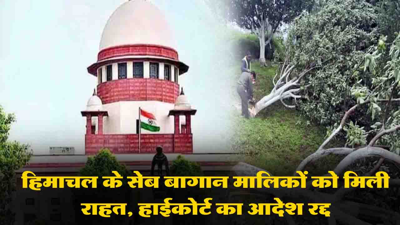 Himachal News: हिमाचल के बागवानों को बड़ी राहत, सुप्रीम कोर्ट ने हाईकोर्ट के सेब बागानों को हटाने के आदेश को रोका..!