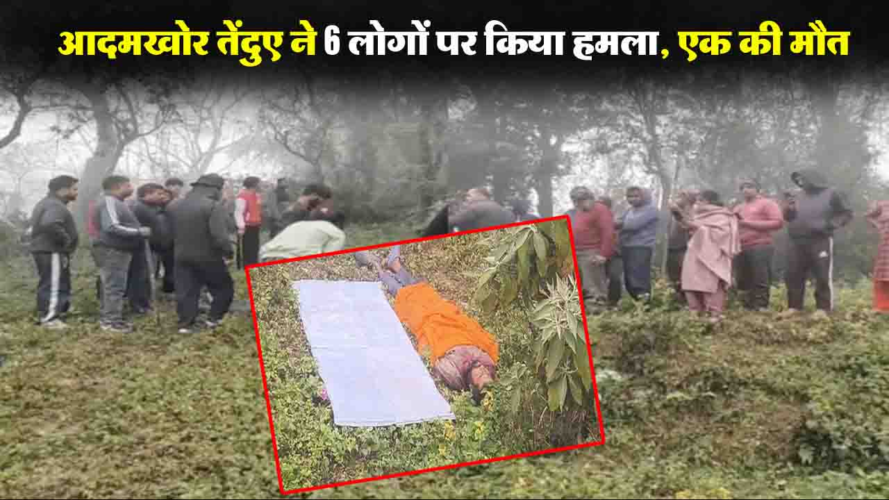 Himachal Leopard Attacked: आदमखोर तेंदुए ने 6 लोगों पर किया हमला, एक की मौत