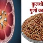 Horse Gram Benefits: किडनी स्टोन से लेकर वजन घटाने तक, सेहत के लिए बेहद फायदेमंद है कुल्थी की दाल