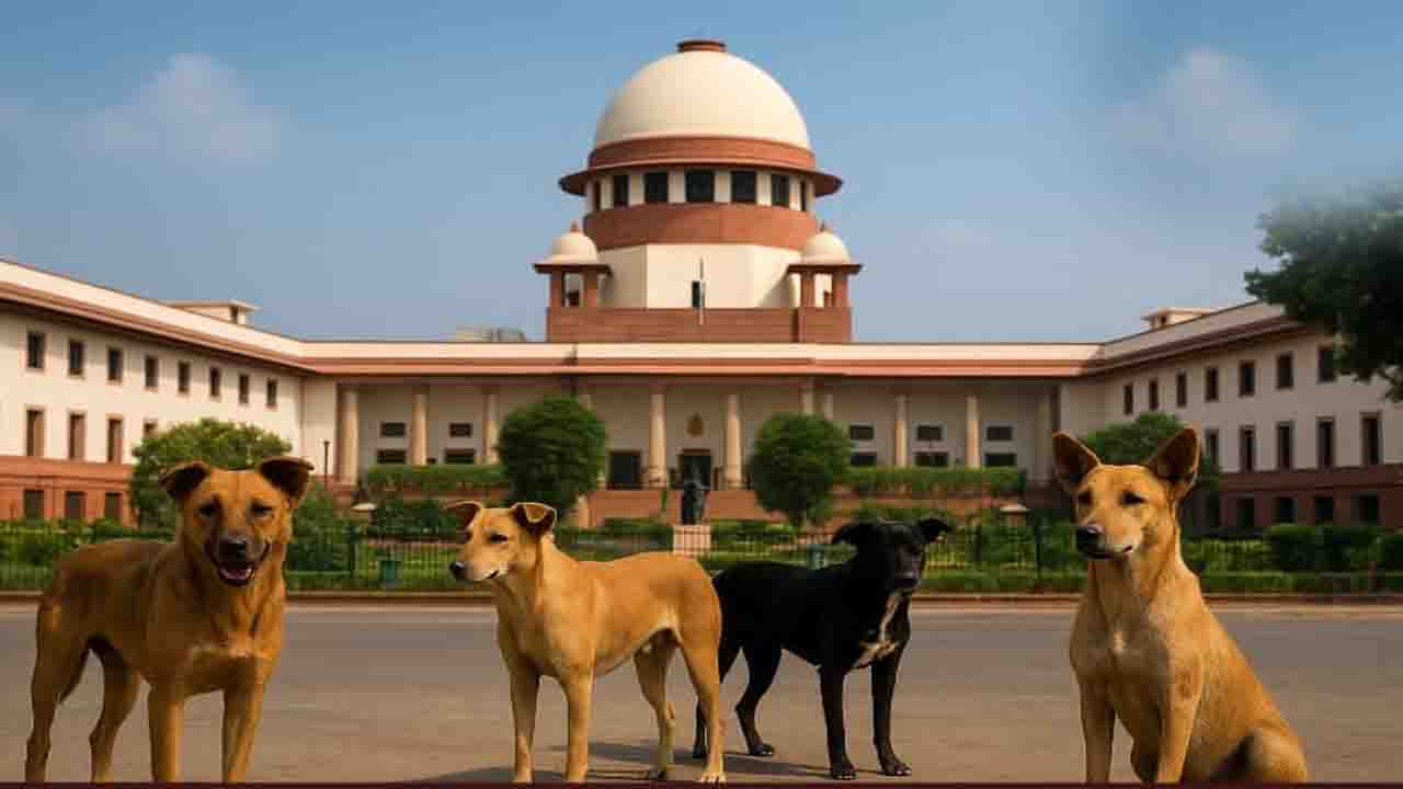 Supreme Court की सख्त टिप्पणी, कुत्तों के काटने से बच्चे-बुजुर्ग की मौत पर राज्य को देना होगा भारी मुआवजा