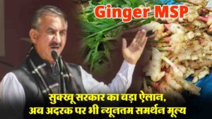 Himachal News: सुक्खू सरकार का बड़ा ऐलान, अब अदरक पर भी न्यूनतम समर्थन मूल्य,पच्छाद को मिली 32 करोड़ की सौगात