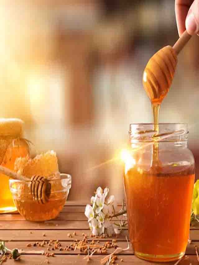 Honey For Weight Loss: शहद है मोटापा घटाने का रामबाण,अपनाएं सेवन का ये सही तरीका
