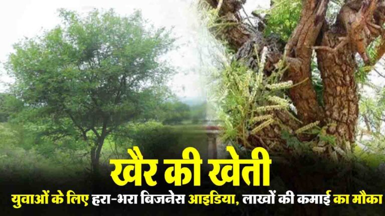 Khair Farming युवाओं के लिए हरा-भरा Business Ideas, लाखों की कमाई का मौका