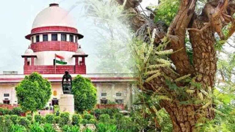 Supreme Court Order on Khair Trees: सुप्रीम कोर्ट ने दी राहत, हिमाचल में सूखे खैर के पेड़ काटने पर अब कोई रोक नहीं