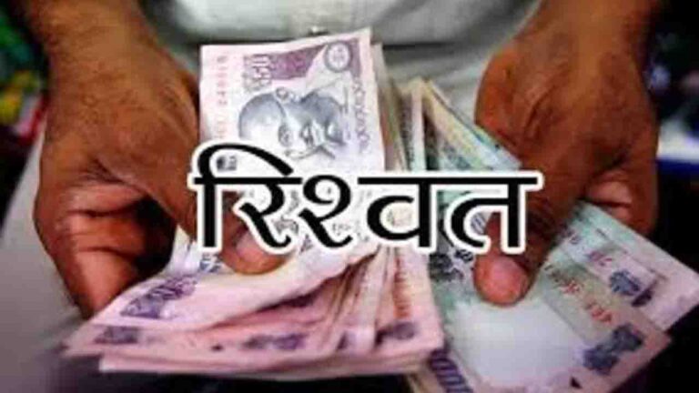 Solan News: पेड़ काटने की डैमेज रिपोर्ट दबाने के लिए पांच हजार की रिश्वत लेते पकड़ा गया वन रक्षक