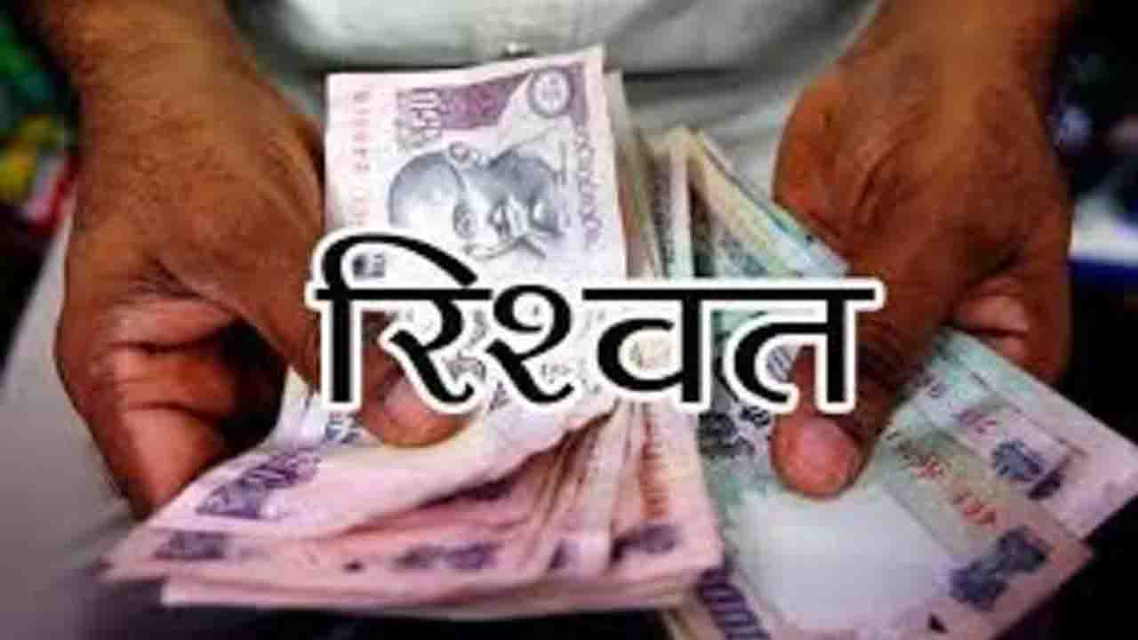 Solan News: पेड़ काटने की डैमेज रिपोर्ट दबाने के लिए पांच हजार की रिश्वत लेते पकड़ा गया वन रक्षक