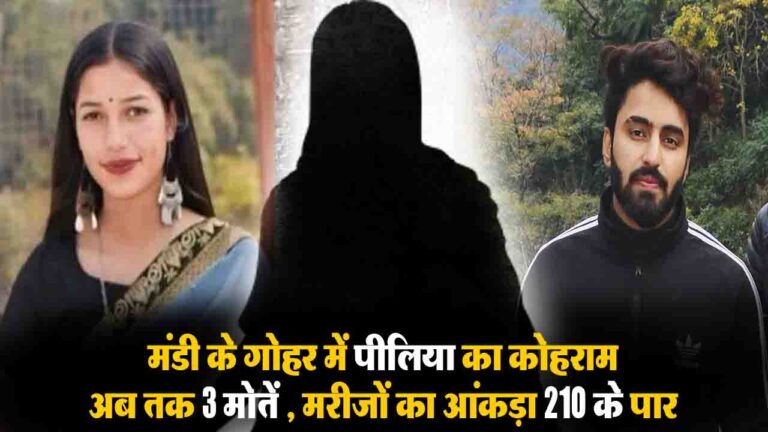 Jaundice in Mandi Gohar: मंडी के गोहर में पीलिया का कोहराम, 19 वर्षीय नवविवाहिता की PGI में मौत, मरीजों का आंकड़ा 210 के पार