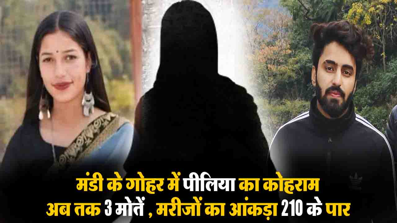 Jaundice in Mandi Gohar: मंडी के गोहर में पीलिया का कोहराम, 19 वर्षीय नवविवाहिता की PGI में मौत, मरीजों का आंकड़ा 210 के पार