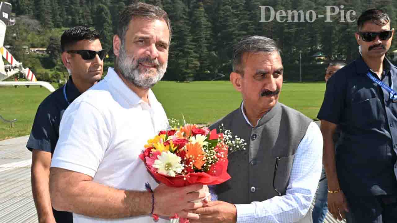 Rahul Gandhi in Shimla: बजट से ठीक पहले राहुल गांधी की शिमला में सरप्राइज एंट्री, सियासी गलियारों में हलचल तेज!