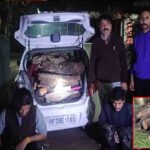 Shahpur Road Accident: शाहपुर में चडी-घेरा मार्ग पर गहरी खाई में गिरी कार, दो की मौत, तीन की हालत नाजुक 1 Kangra News: अवैध खैर लकड़ी की तस्करी पर वन विभाग का शिकंजा, कार समेत दो गिरफ्तार