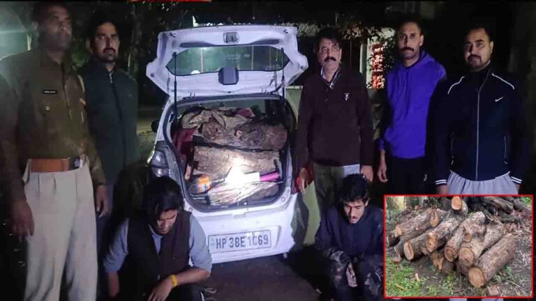 Kangra News: अवैध खैर लकड़ी की तस्करी पर वन विभाग का शिकंजा, कार समेत दो गिरफ्तार