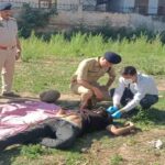 Himachal Smart Meter Boycott: बुजुर्ग ने मंत्री से कहा-उखाड़ ले जाओ अपना स्मार्ट मीटर और खंभा, मैं दीया जला लूंगा..! 2 Baddi Murder Case: हिमाचल के बद्दी में युवक की बेरहमी से हत्या, खेत में मिला शव, इलाके में सनसनी