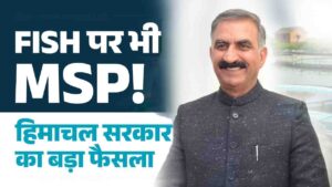 MSP on Fish: सुक्खू सरकार का बड़ा फैसला, अब जलाशय की मछलियों पर भी मिलेगी MSP