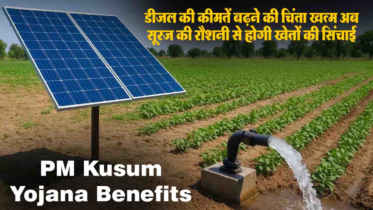 PM Kusum Yojana benefits: अब डीजल नहीं सूरज की रोशनी से होगी खेतों की सिंचाई, बंपर मुनाफा