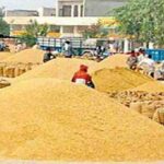 Wheat MSP Punjab: गेहूं खरीद नियमों में पंजाब के किसानों को बड़ी राहत, केंद्र ने खराब फसल पर दी छूट
