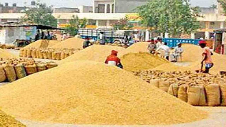 Wheat MSP news Punjab: गेहूं खरीद नियमों में पंजाब के किसानों को बड़ी राहत, केंद्र ने खराब फसल पर दी छूट