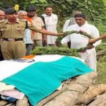 Una News: जमीनी विवाद में पहले स्कूल पहुंचकर महिला टीचर को धमकाया, फिर छुट्टी के बाद सरेराह कर दी पिटाई, 1 Una News: गैस लीकेज हादसे में में घायल BSP जवान ने PGI में ली आखिरी सांस, सैन्य सम्मान के साथ किया गया अंतिम संस्कार