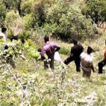 Chamba Murder Case: पार्टी में दोस्तों के बीच खूनी संघर्ष, पत्थर से वार कर ली जान