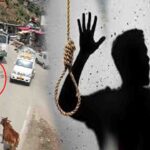 Shimla News: कोटखाई में 4 साल की बच्ची को पिकअप ने कुचला, तो शिमला में 12वीं का परिणाम आने के बाद छात्र ने की आत्महत्या