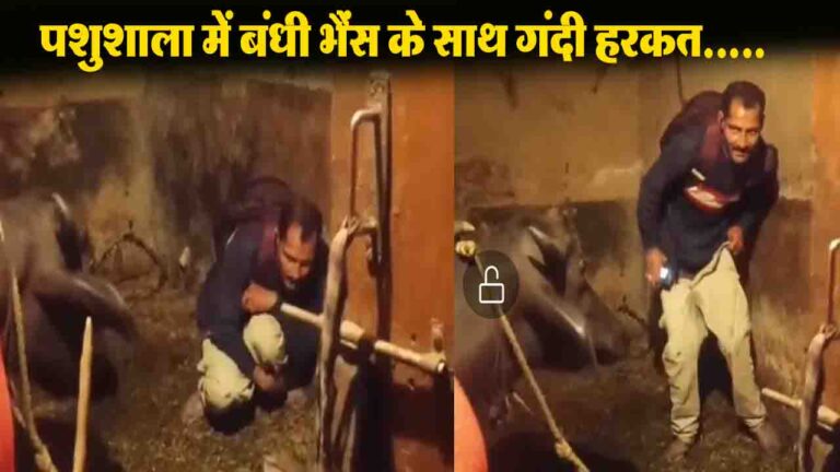 Hamirpur Viral Video: पशुशाला में संदिग्ध हालत में मिला युवक, ग्रामीणों में भारी आक्रोश