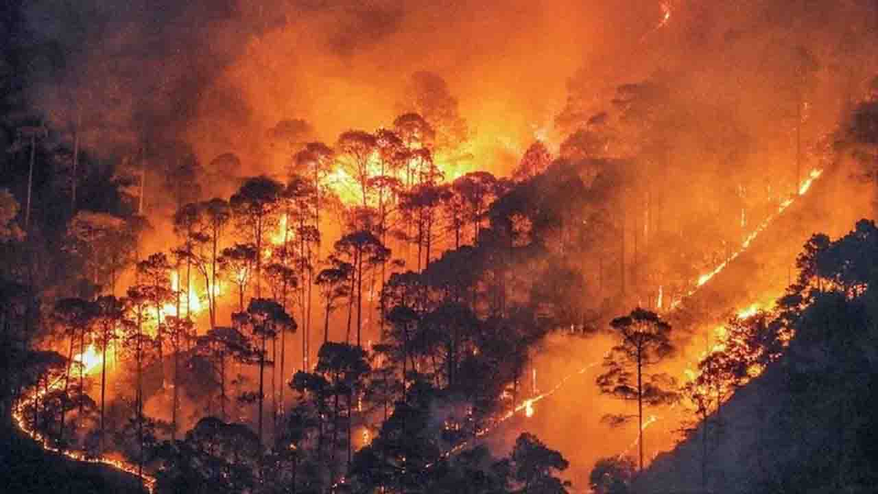 Himachal Forest Fire: हिमाचल के जंगलों में भड़की भीषण आग से करोड़ों का नुकसान, 232 फायर केस, 2900 हेक्टेयर वन क्षेत्र प्रभावित