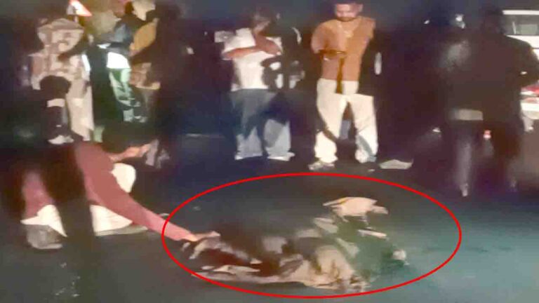 Kangra News: प्रेमी संग शादी का सपना लेकर घर से निकली युवती की ज्वालामुखी में दर्दनाक मौत; साथी का रो-रोकर बुरा हाल