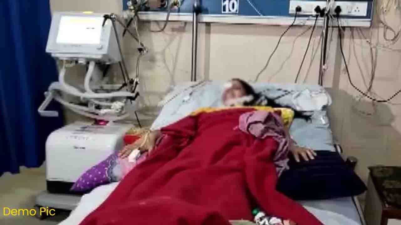 HOME 14 Mandi News: जंगल में महिला पर जानलेवा हमला! पहले समझा तेंदुए का शिकार, होश आते ही खुला सनसनीखेज राज
