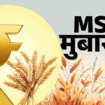 Milk Price Hike: देश में दूध फिर हुआ महंगा, अमूल और मदर डेयरी ने बढ़ाए दाम, आम आदमी की जेब पर डबल मार 1 Kharif Crops MSP: केंद्र सरकार का किसानों को बड़ा तोहफा, 14 फसलों के MSP को बढ़ाया